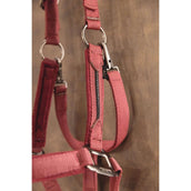 ANKY Head Collar Set AW25 Windsor Wine