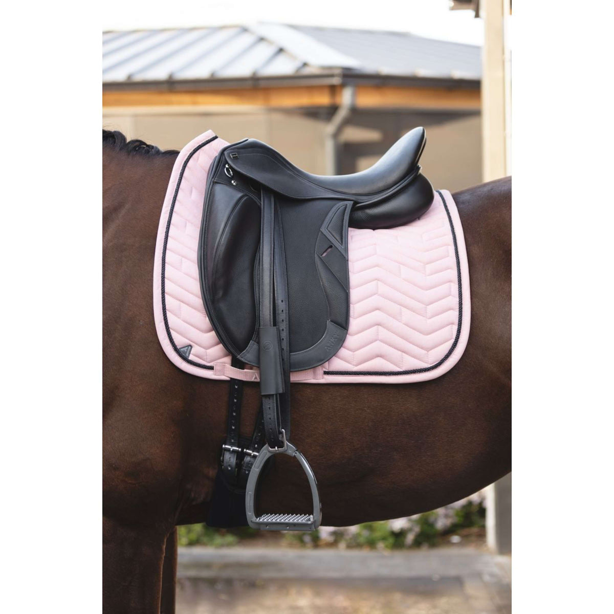 ANKY Saddlepad AW25 Suede Dressage Bridal Rose