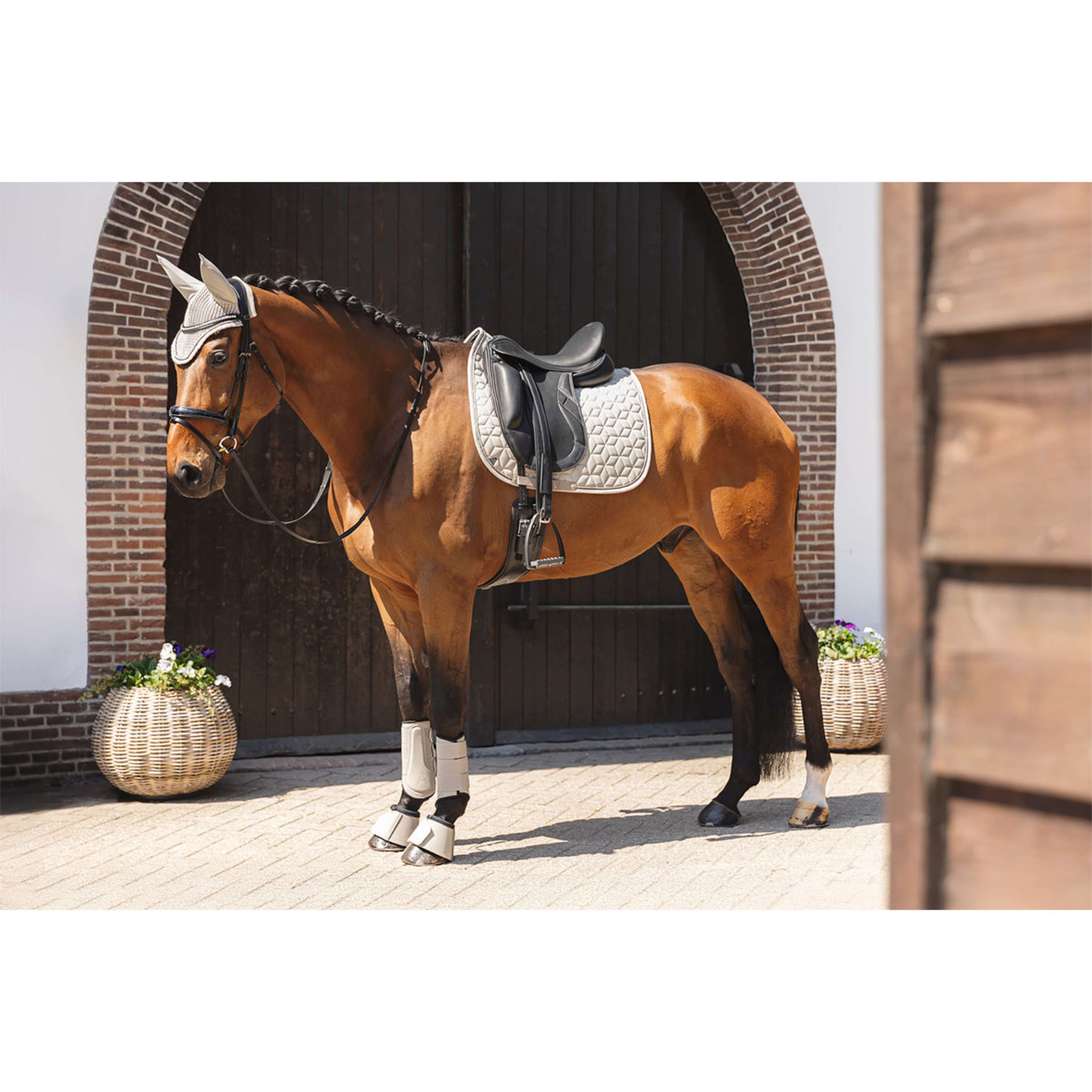 ANKY Dressage Boots Proficient ATB261001 Island Fossil