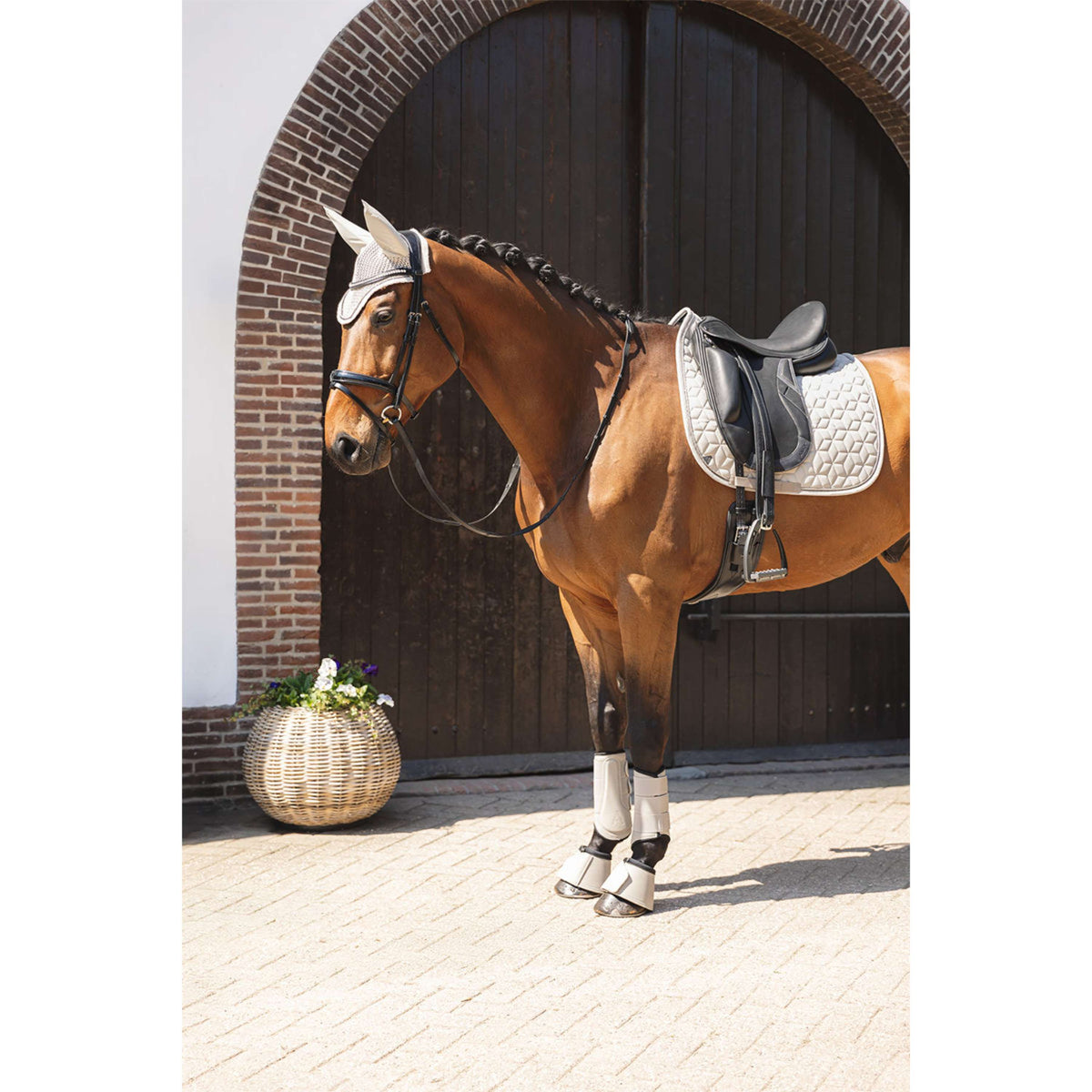 ANKY Bell Boots Bell ATB261003 Island Fossil