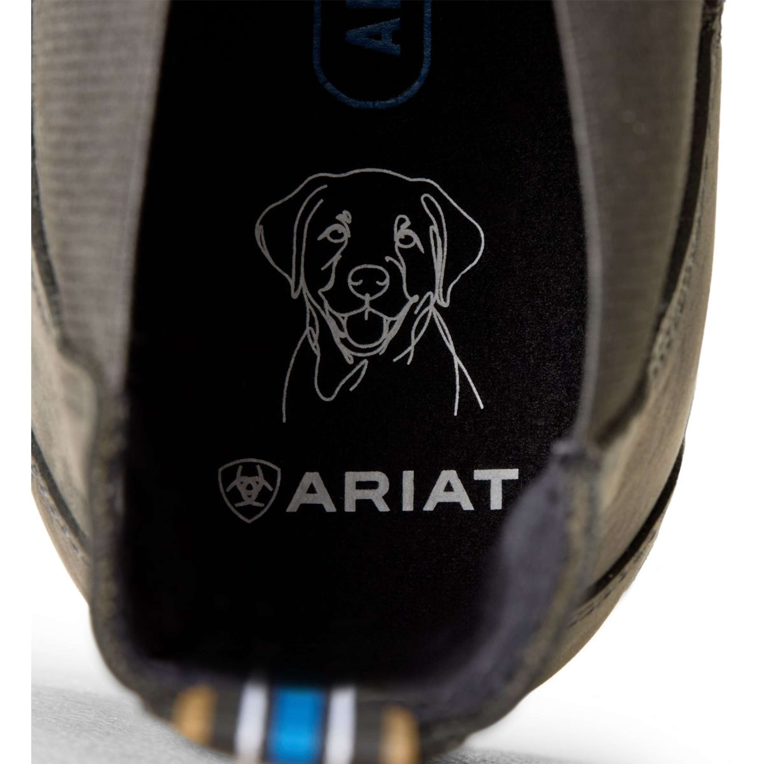Ariat Jodphurs Cooper Men Castlerock