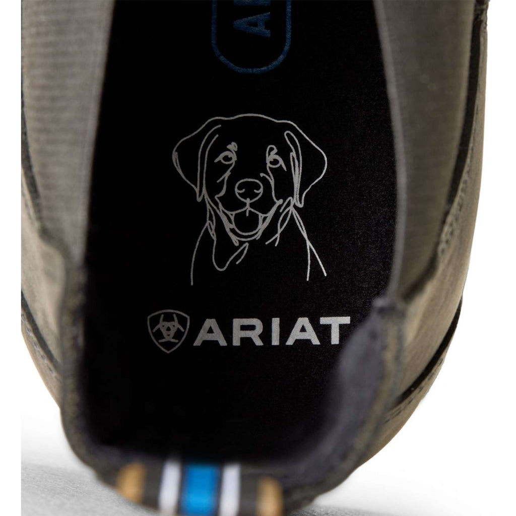 Ariat Jodphurs Cooper Men Castlerock