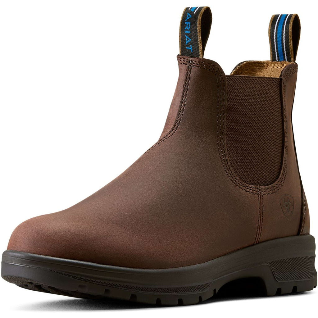 Ariat Jodphurs Cooper Women Brunette