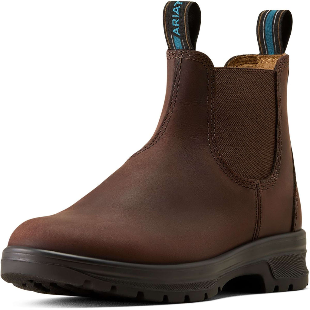 Ariat Jodphurs Cooper Women Brunette