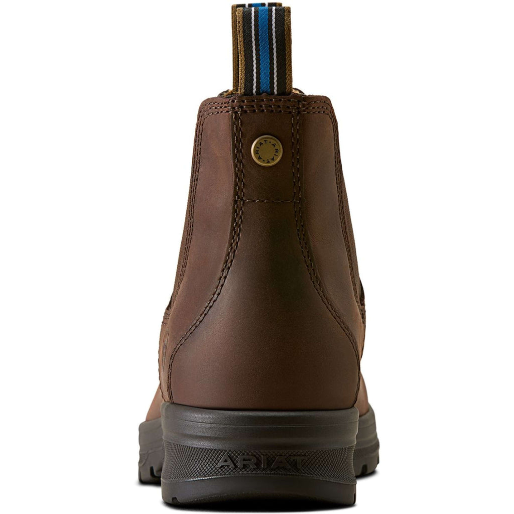Ariat Jodphurs Cooper Women Brunette