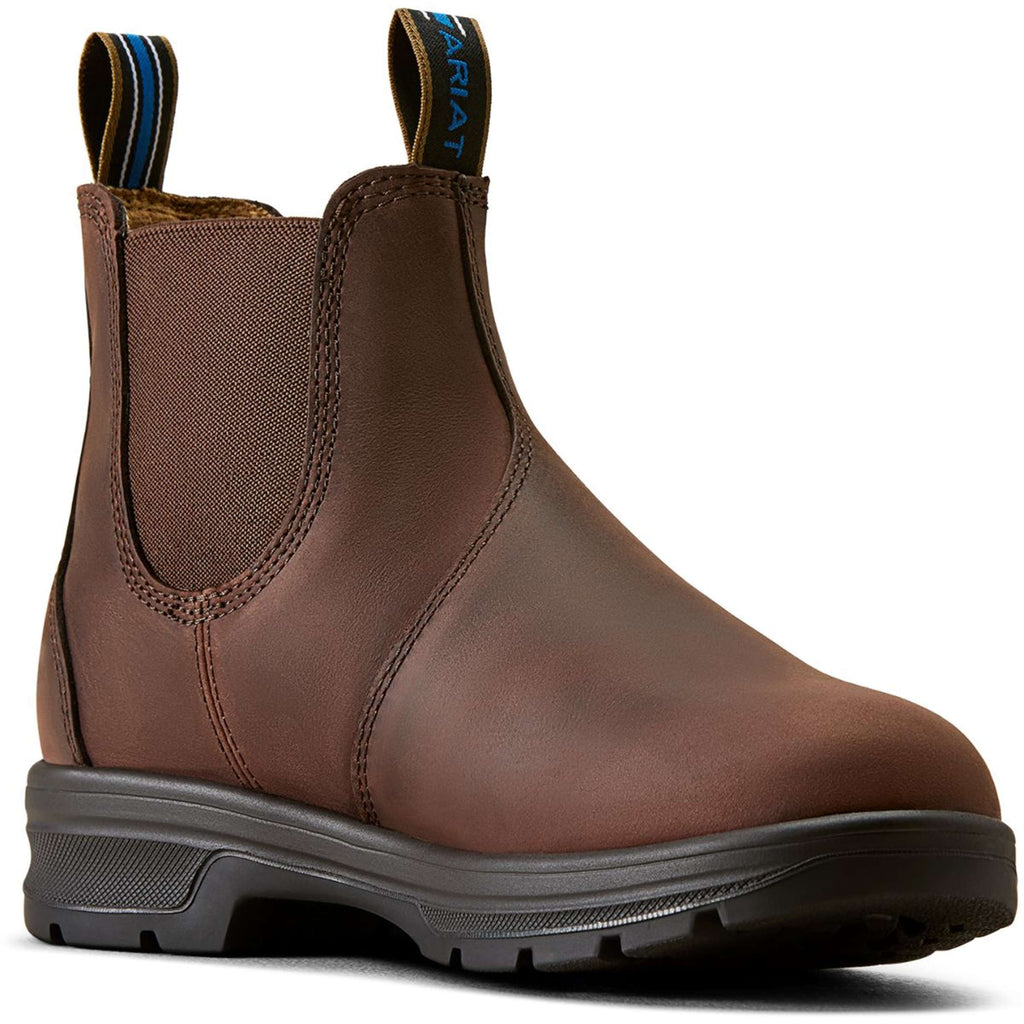 Ariat Jodphurs Cooper Women Brunette