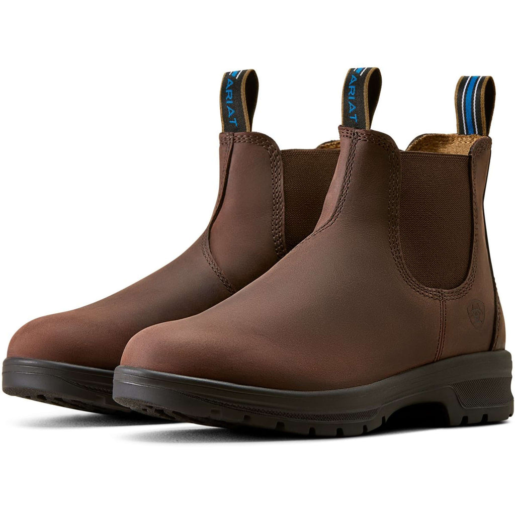 Ariat Jodphurs Cooper Women Brunette