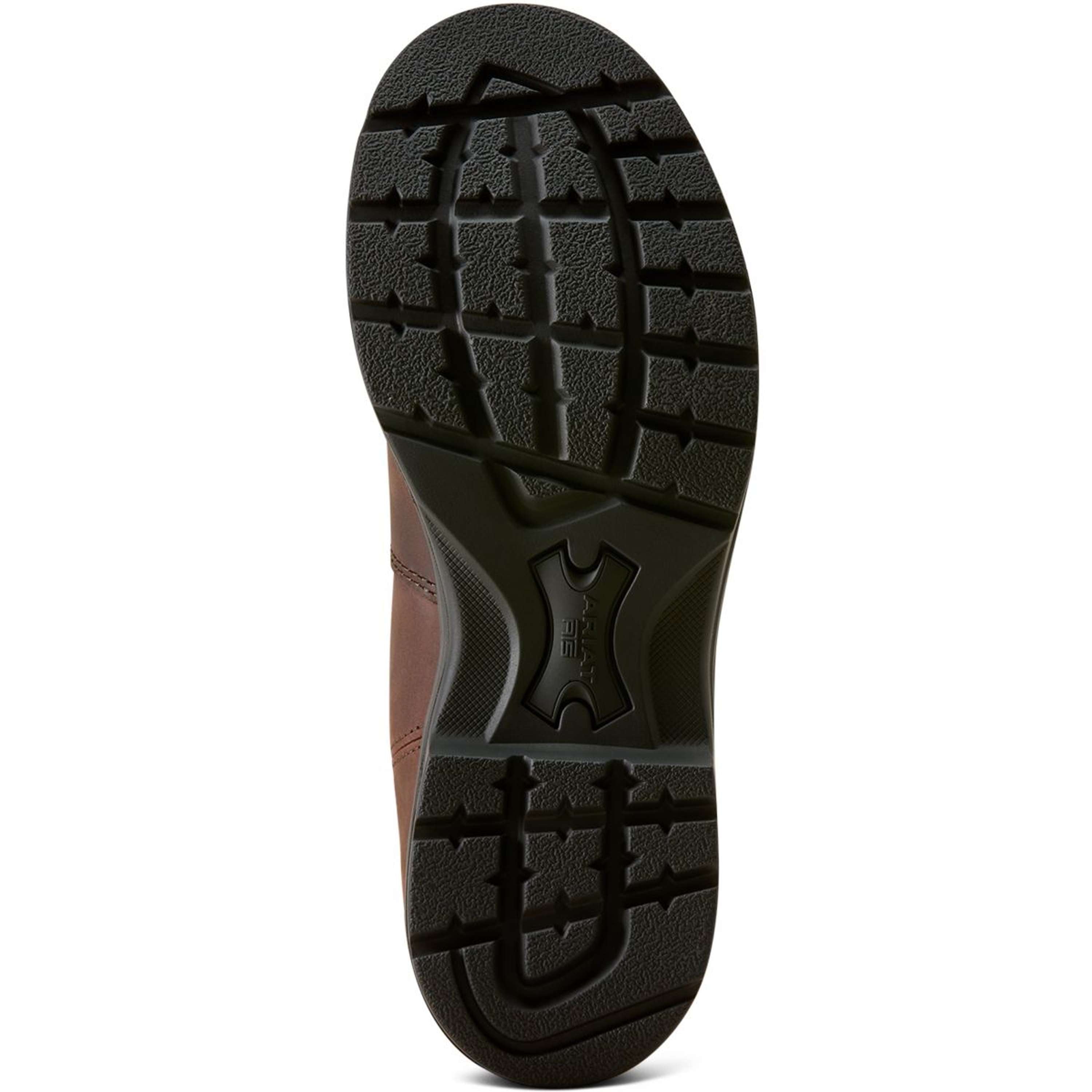Ariat Jodphurs Cooper Women Brunette