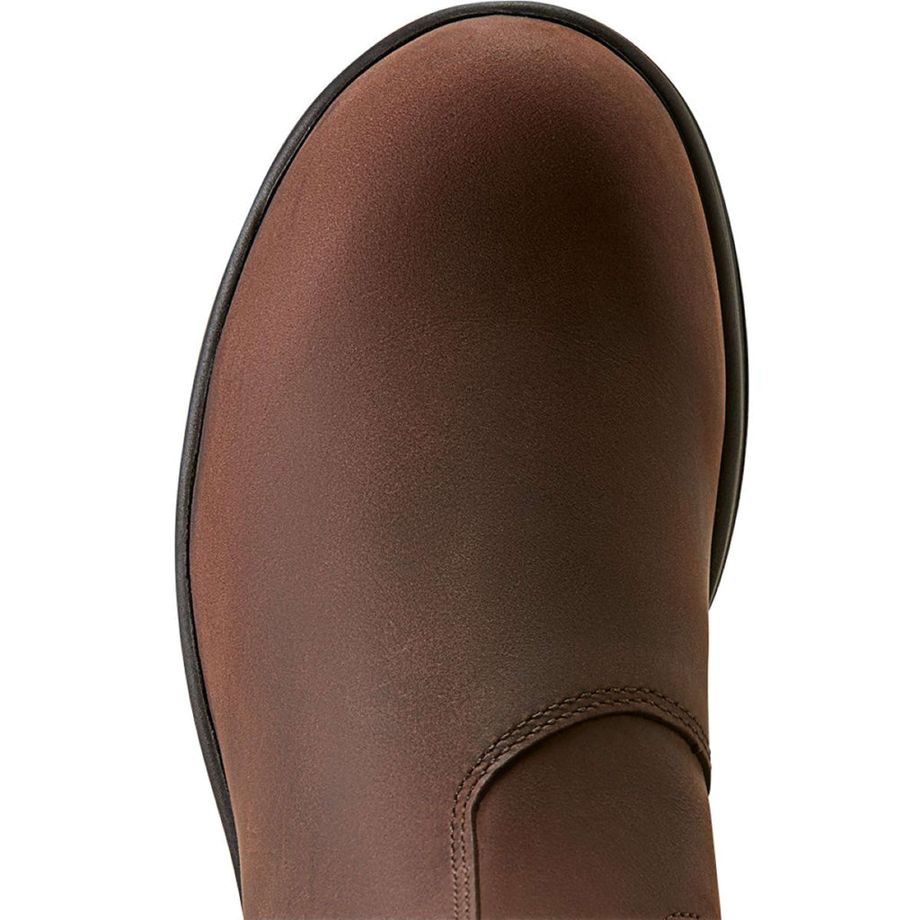 Ariat Jodphurs Cooper Women Brunette
