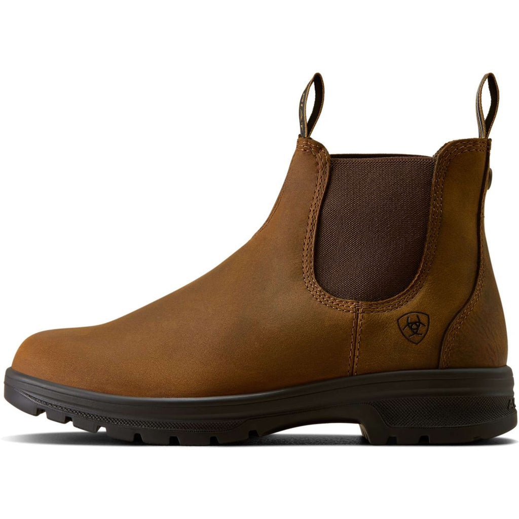 Ariat Jodphurs Cooper Women Distressed Copper