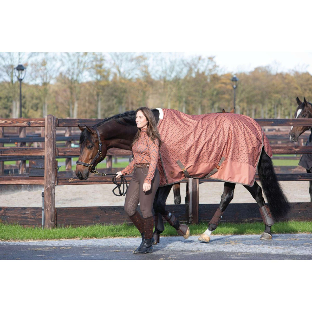 Harry's Horse Breeches Ladis Full Grip Carafe