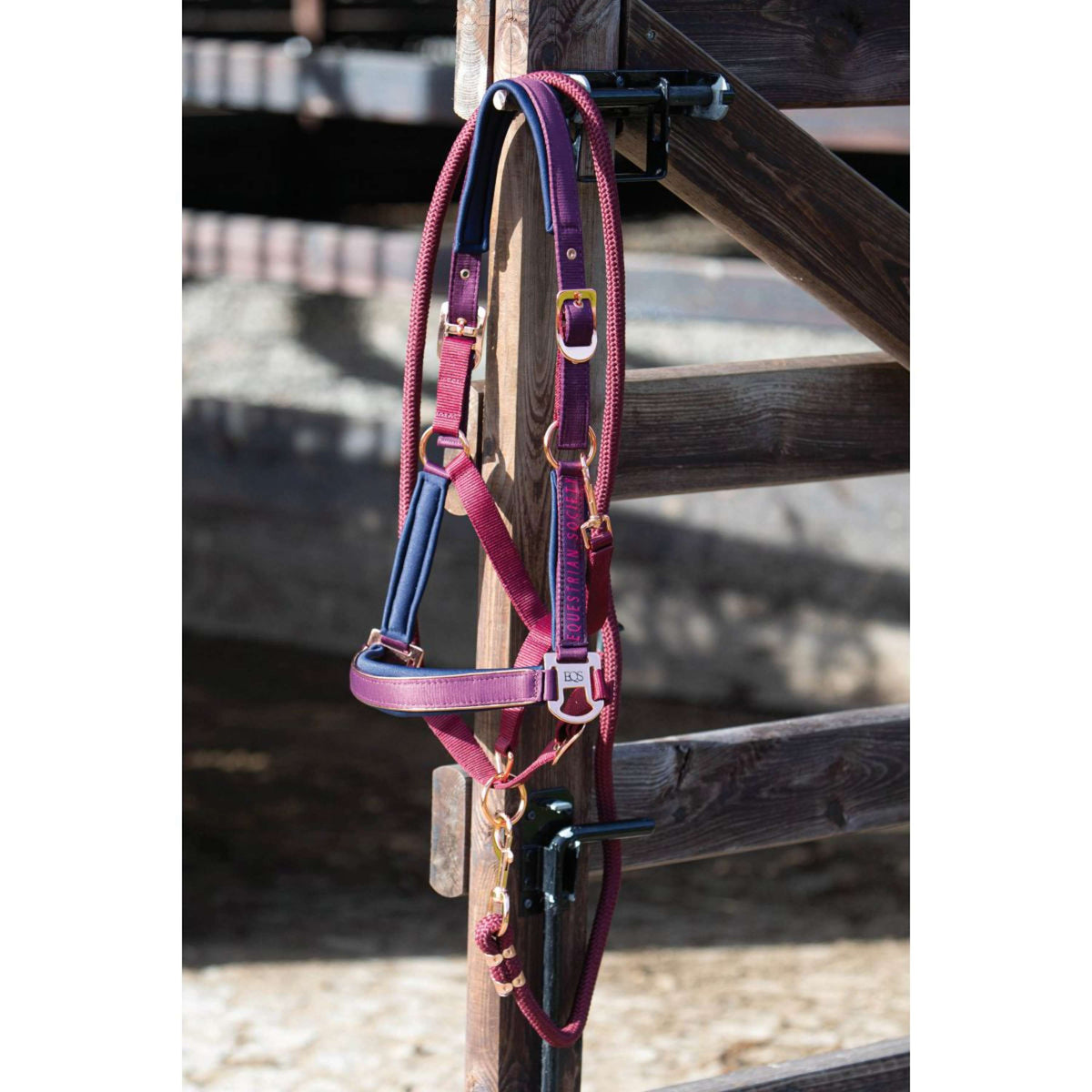 Harry's Horse Head Collar Set Kirchberg Beaujolais