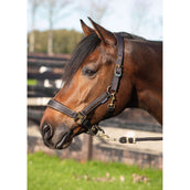 Harry's Horse Head Collar Set Kirchberg Jet Black