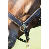 Harry's Horse Head Collar Set Kirchberg Jet Black