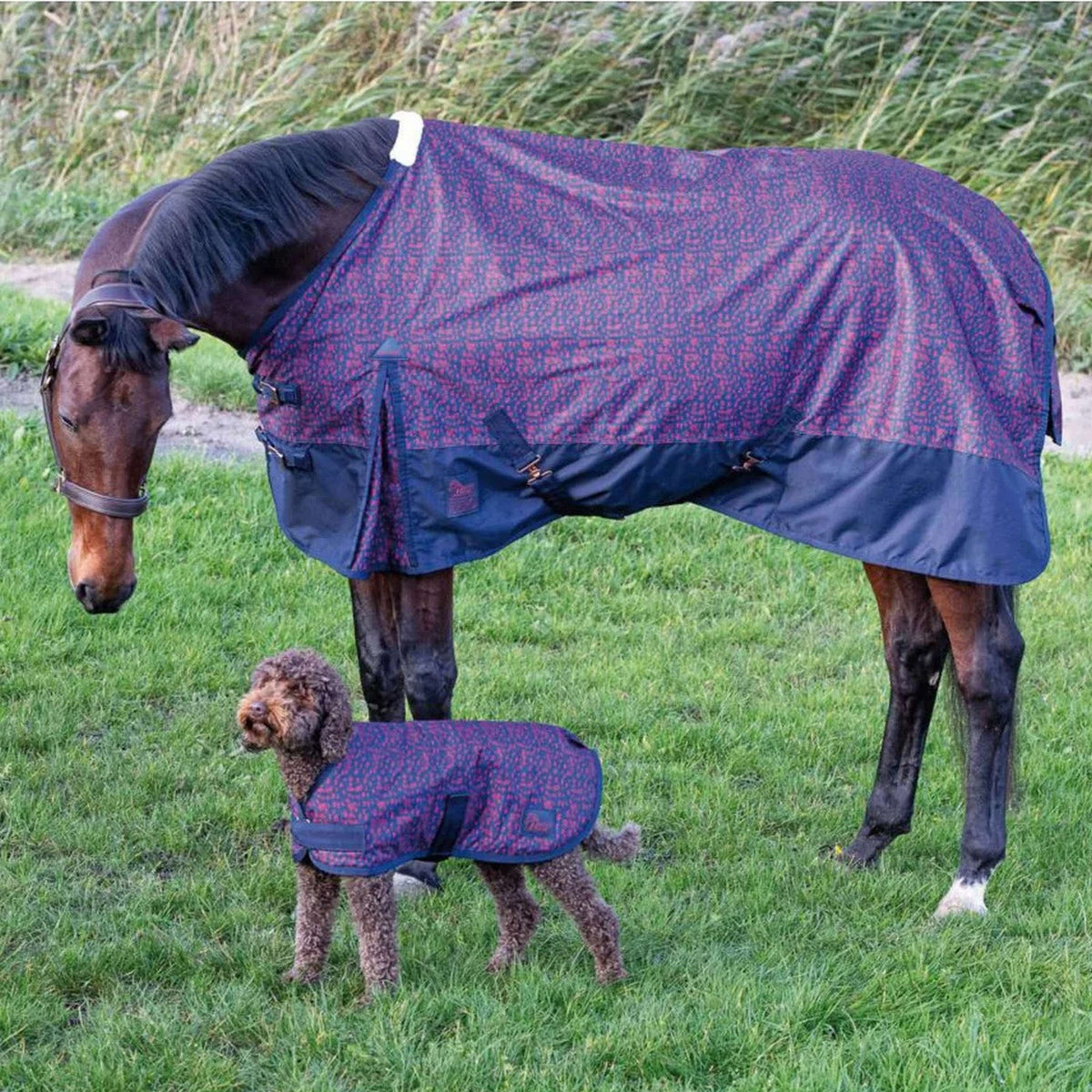 Harry's Horse Rain Rug Thor 0g Dress Blues