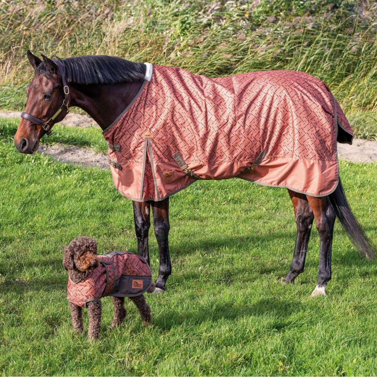 Harry's Horse Rain Rug Thor Fleece 0g Sierra