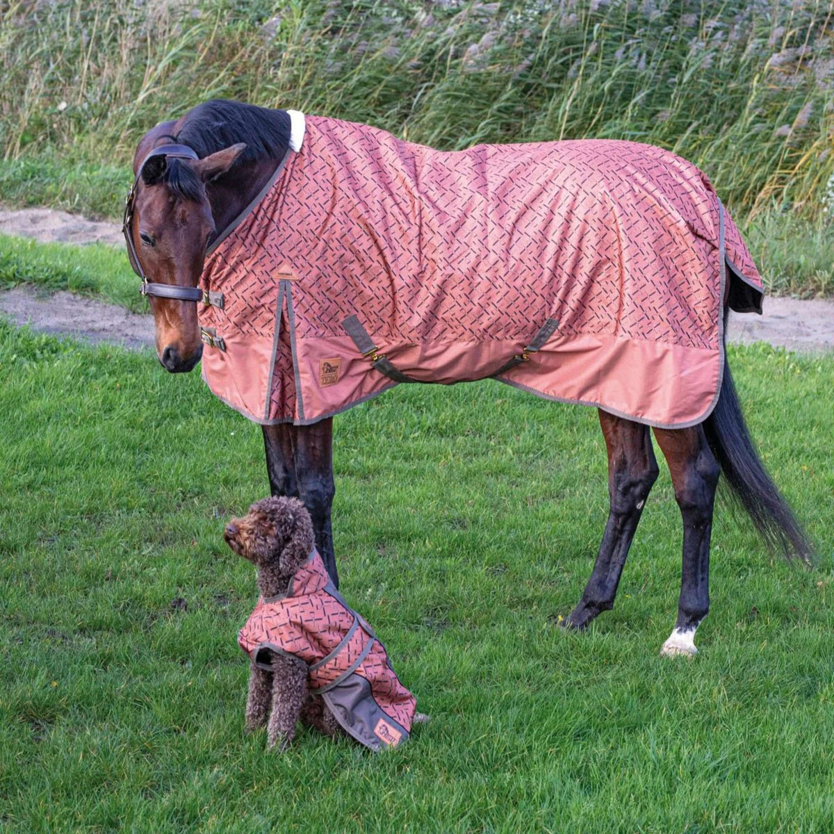 Harry's Horse Rain Rug Thor Fleece 0g Sierra