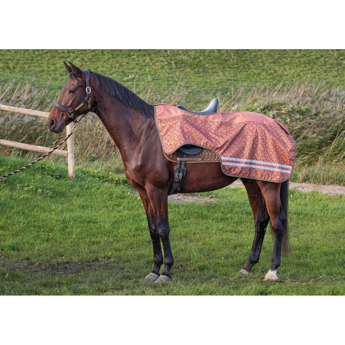 Harry's Horse Exercise Rug Fleece Sierra