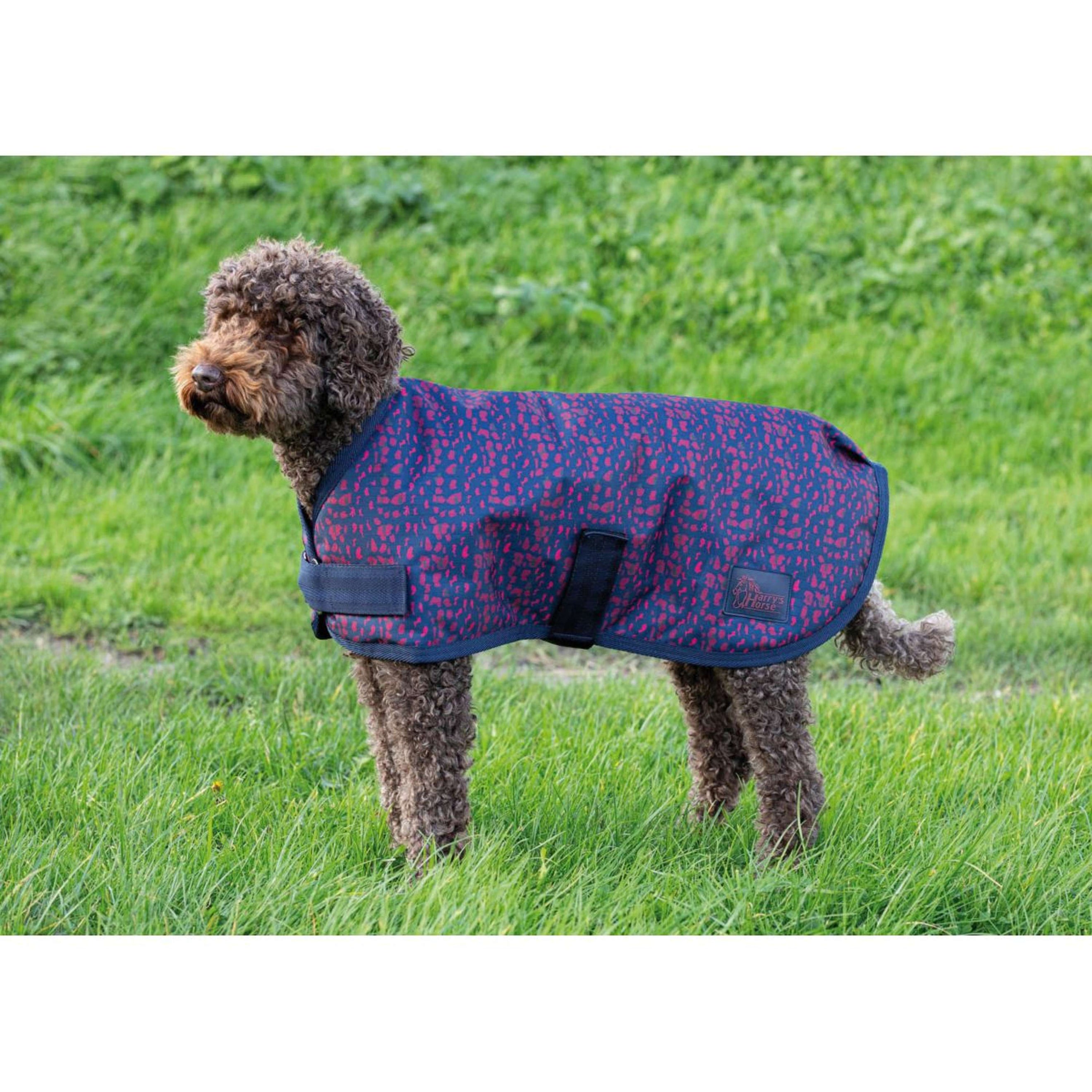 Harry's Horse Dog Rug Waterproof Dress Blues