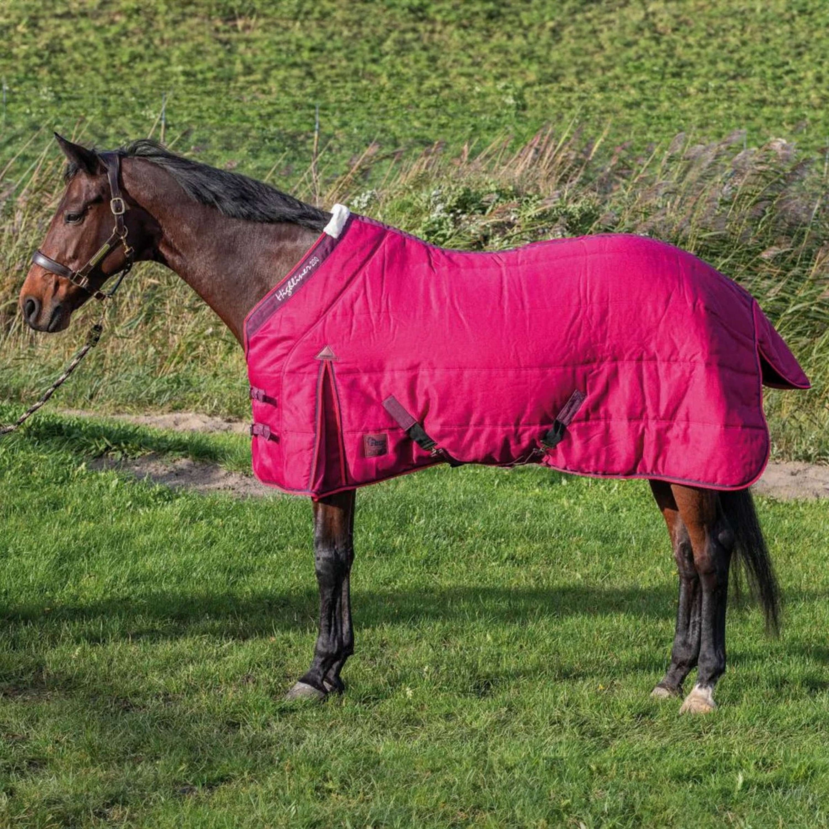 Harry's Horse Stable Rug Highliner 200g Beaujolais