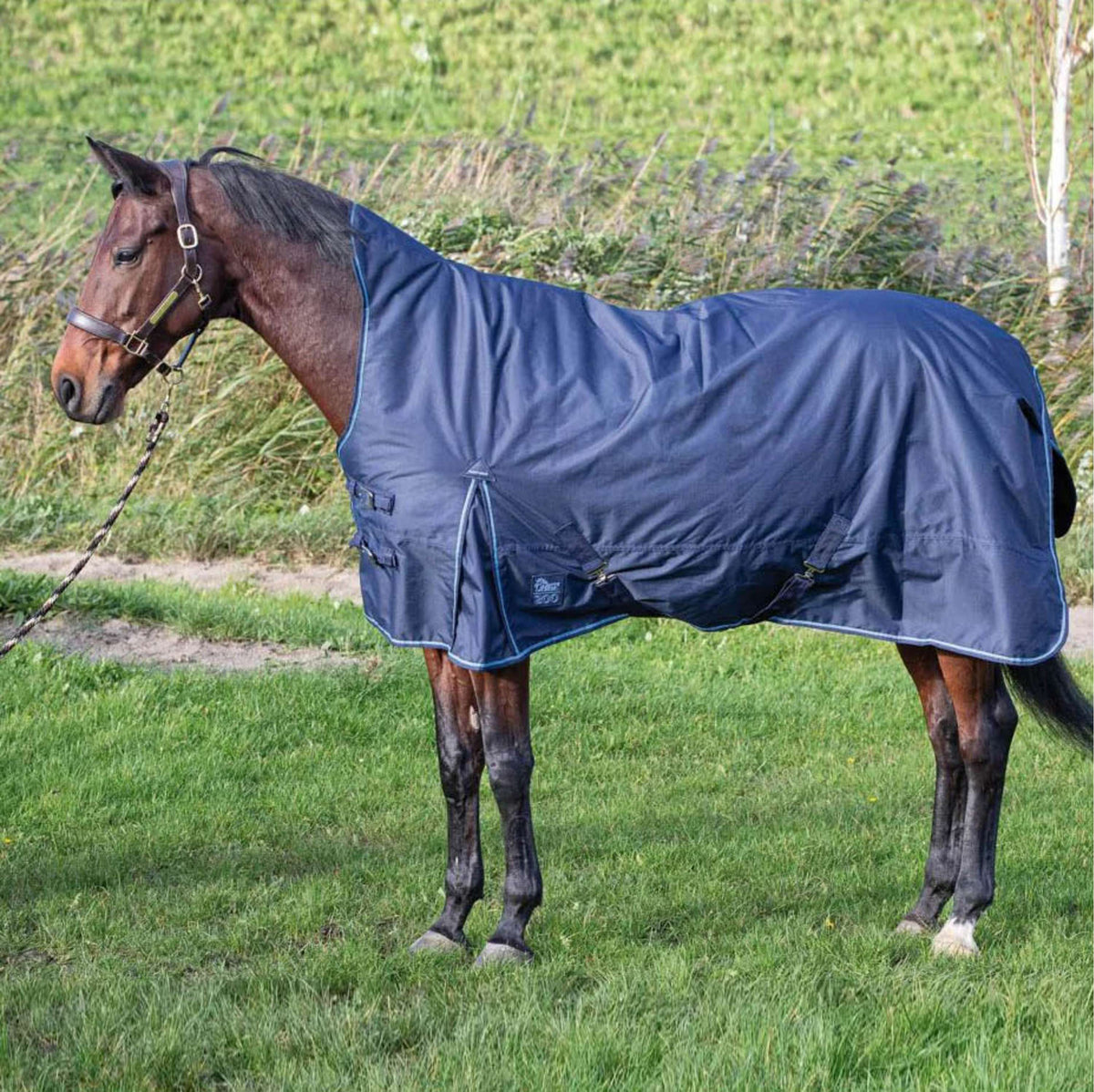 Harry's Horse Rain Rug Thor Highneck 200g Dress Blues