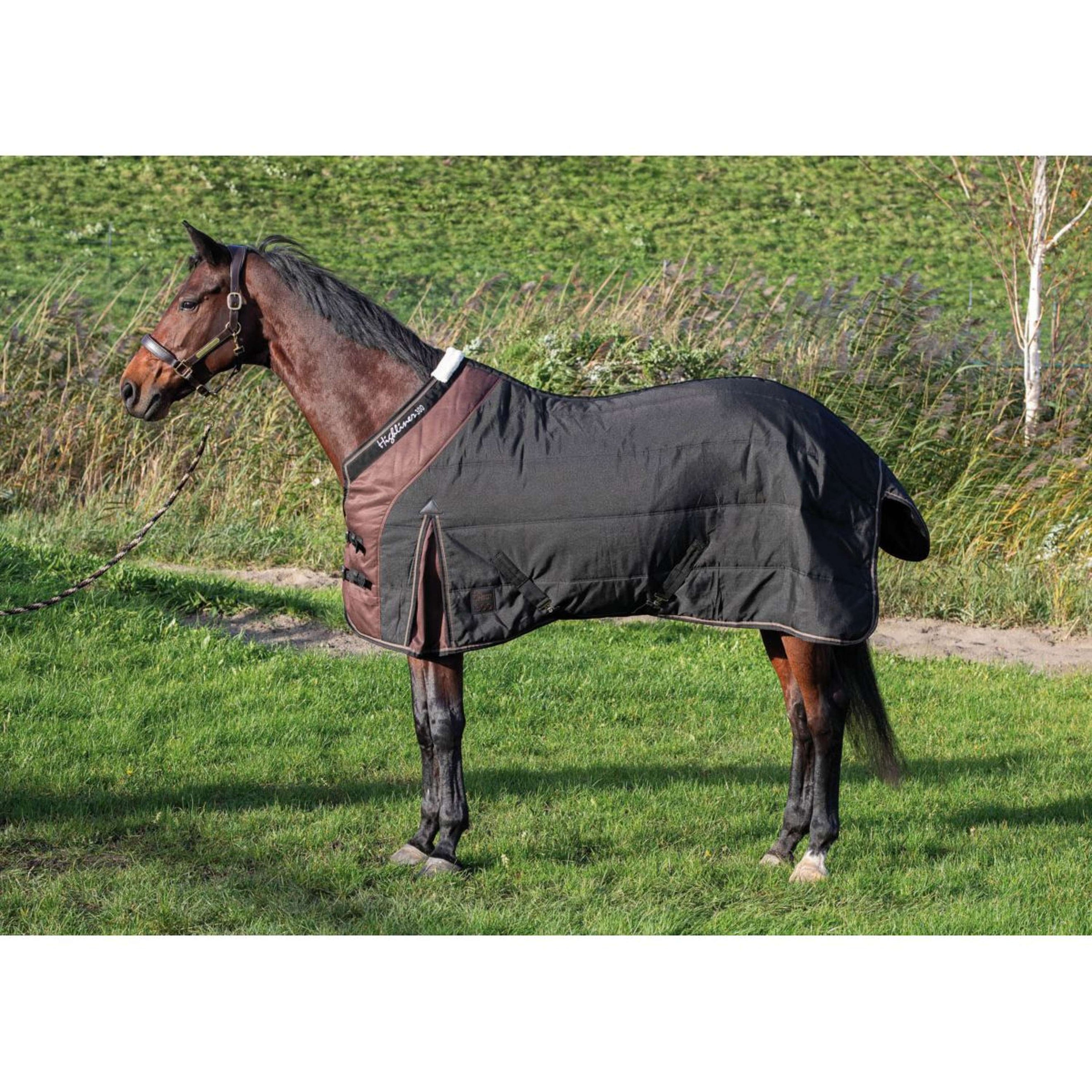 Harry's Horse Stable Rug Highliner 300gr Jet Black