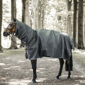 Kentucky Rain Rug Hurricane