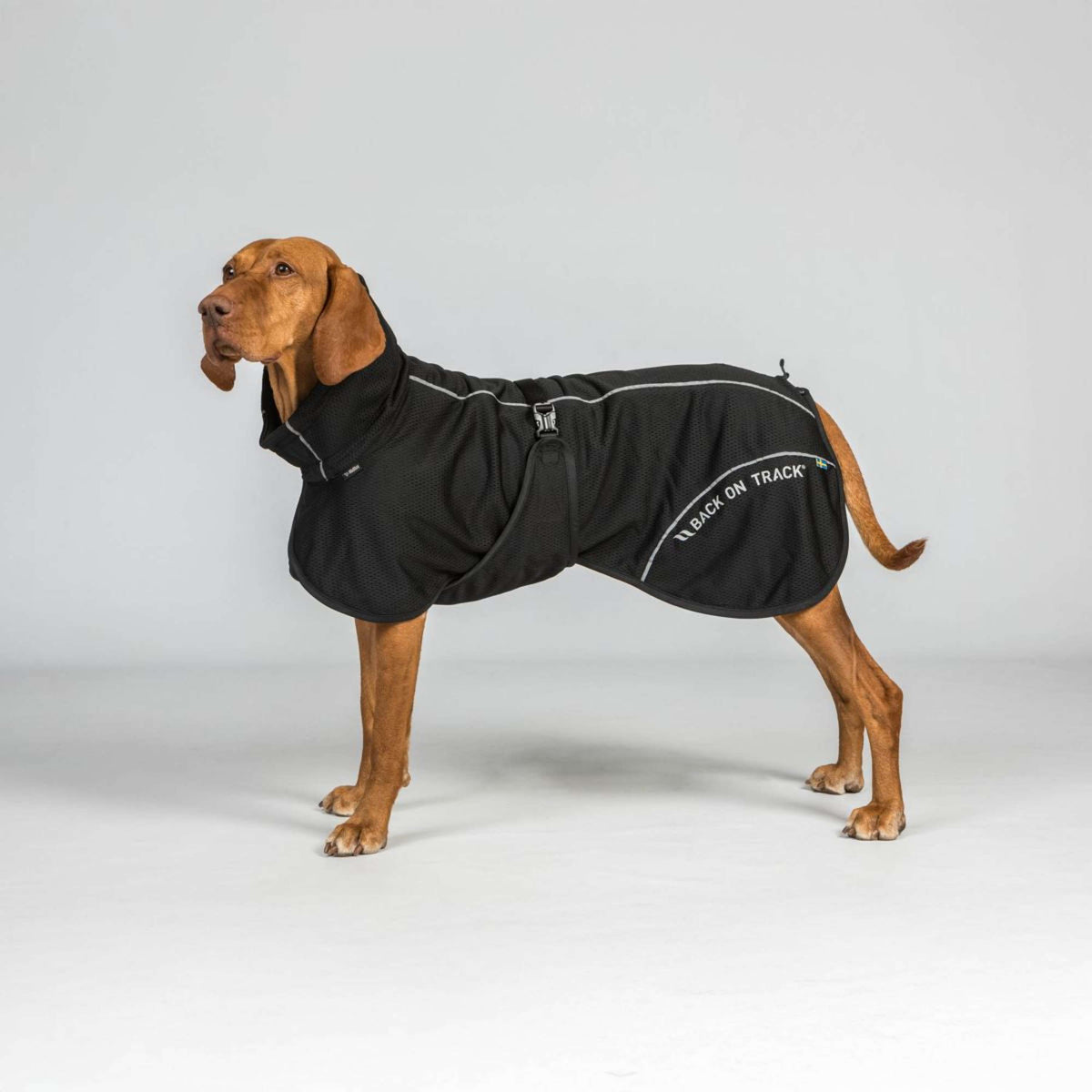 Back on Track Dog Coat BAY Mesh Black