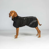 Back on Track Dog Coat BAY Mesh Black