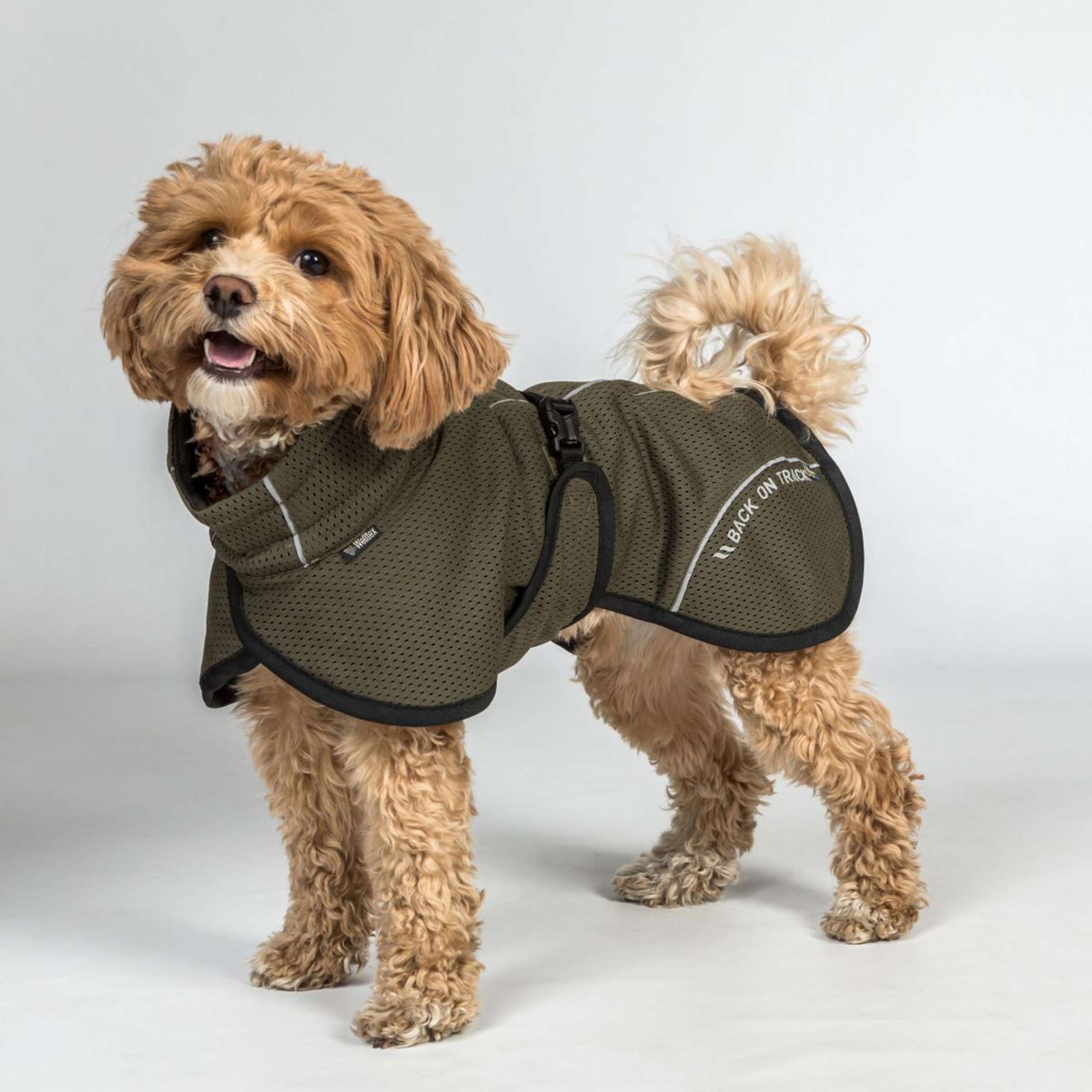 Back on Track Dog Coat BAY Mesh Olive Back on Track Dog Coat BAY Mesh Olive