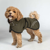 Back on Track Dog Coat BAY Mesh Olive