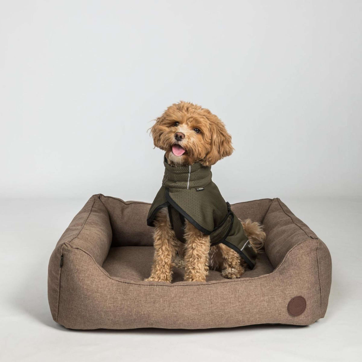 Back on Track Dog Coat BAY Mesh Olive