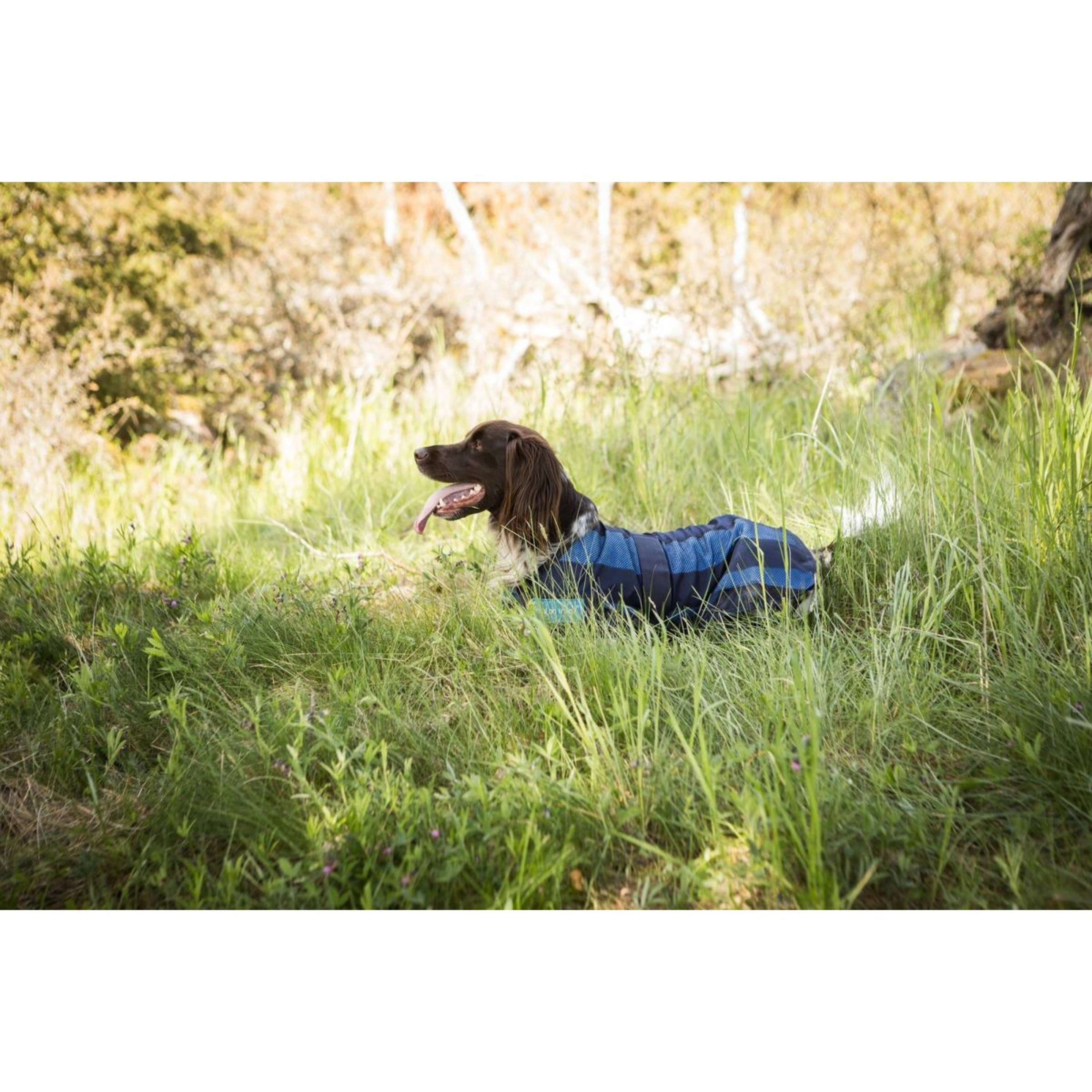 Cool on Track Dog Coat 2.0 Blue