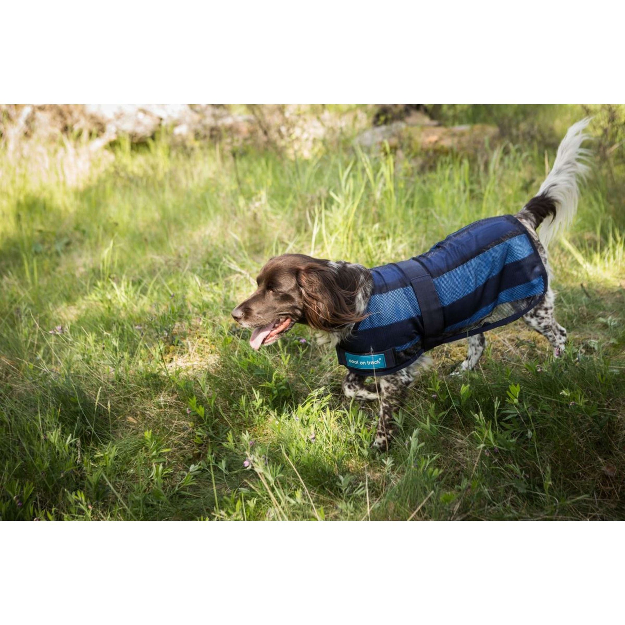 Cool on Track Dog Coat 2.0 Blue