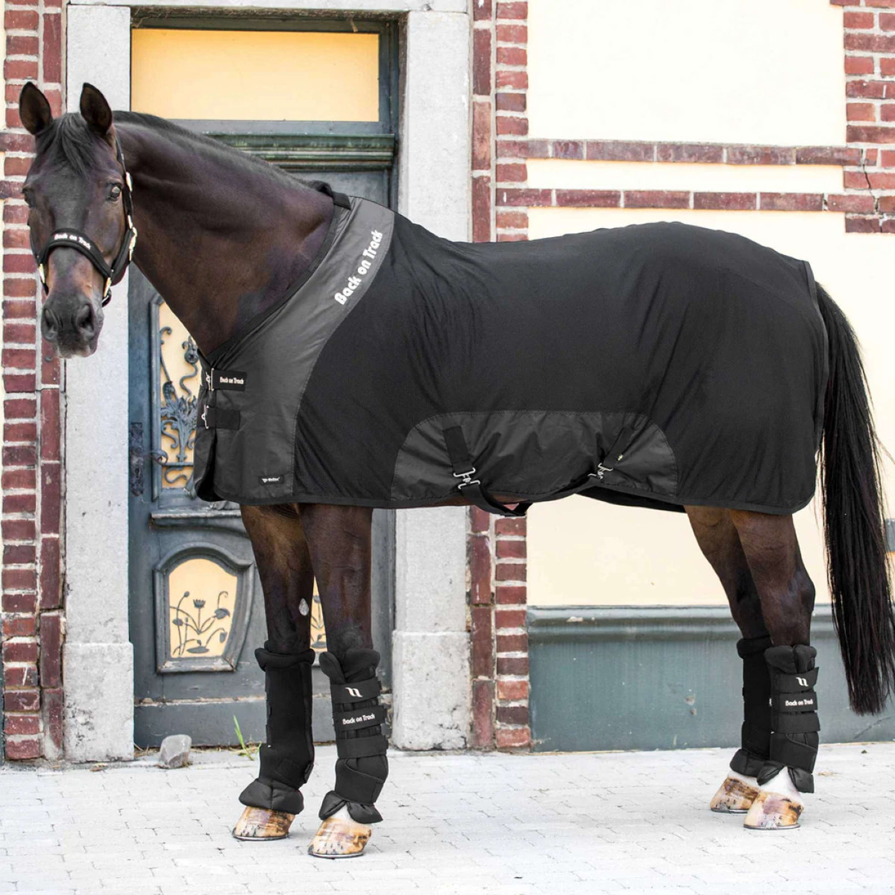 Back on Track Mesh Rug Royal Deluxe Black