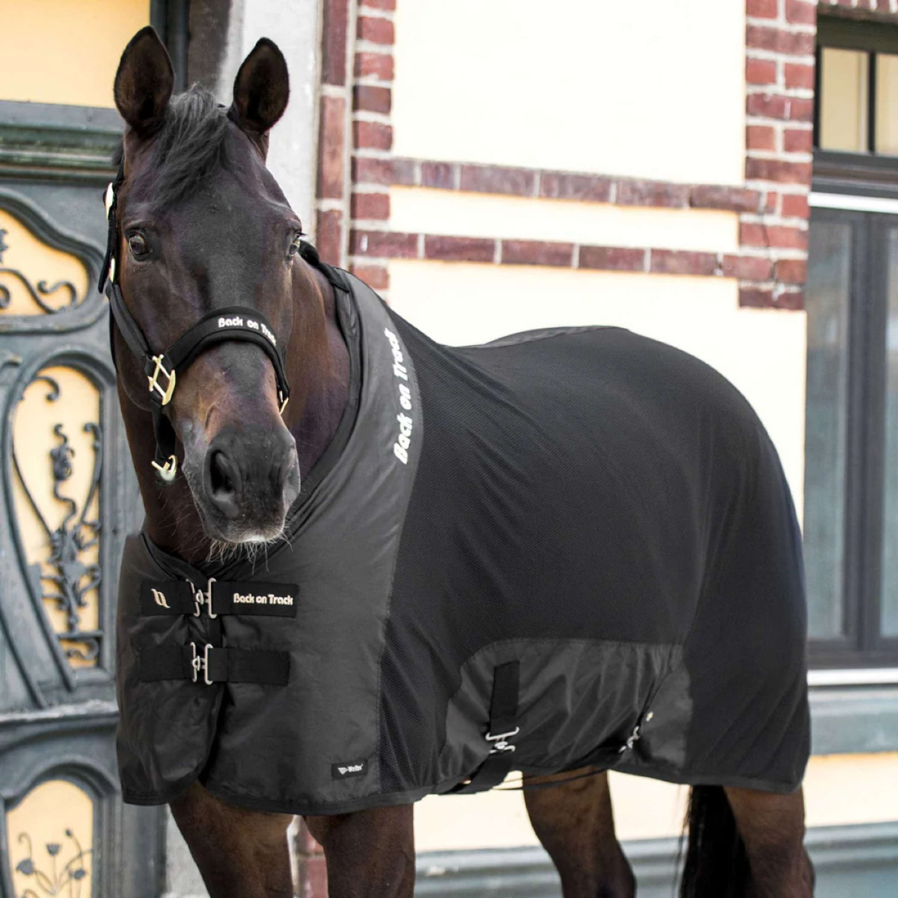 Back on Track Mesh Rug Royal Deluxe Black