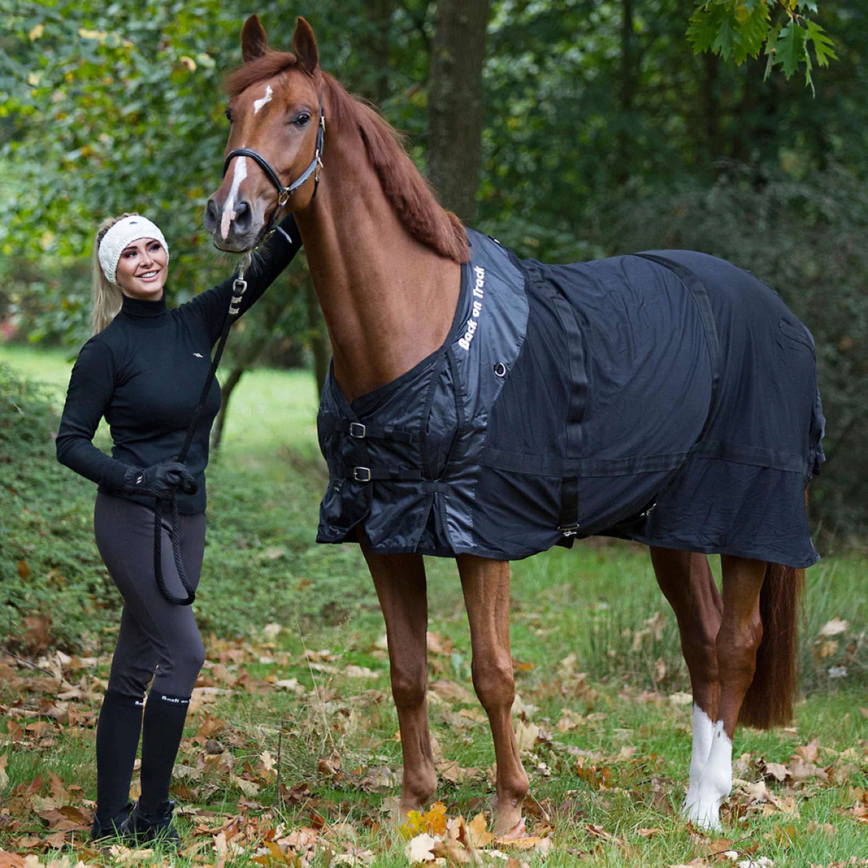 Back on Track Mesh Rug Horse Blue