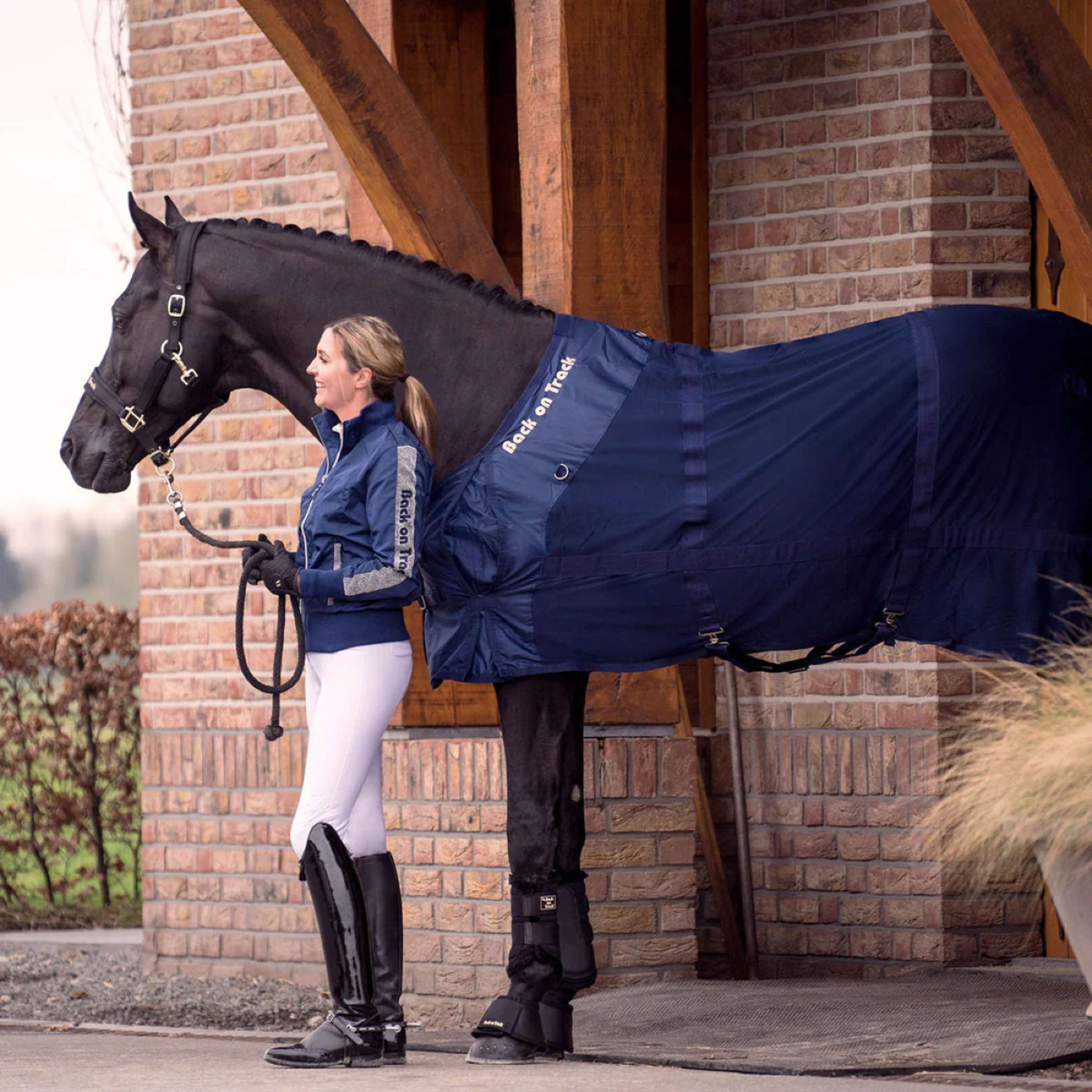 Back on Track Mesh Rug Horse Blue