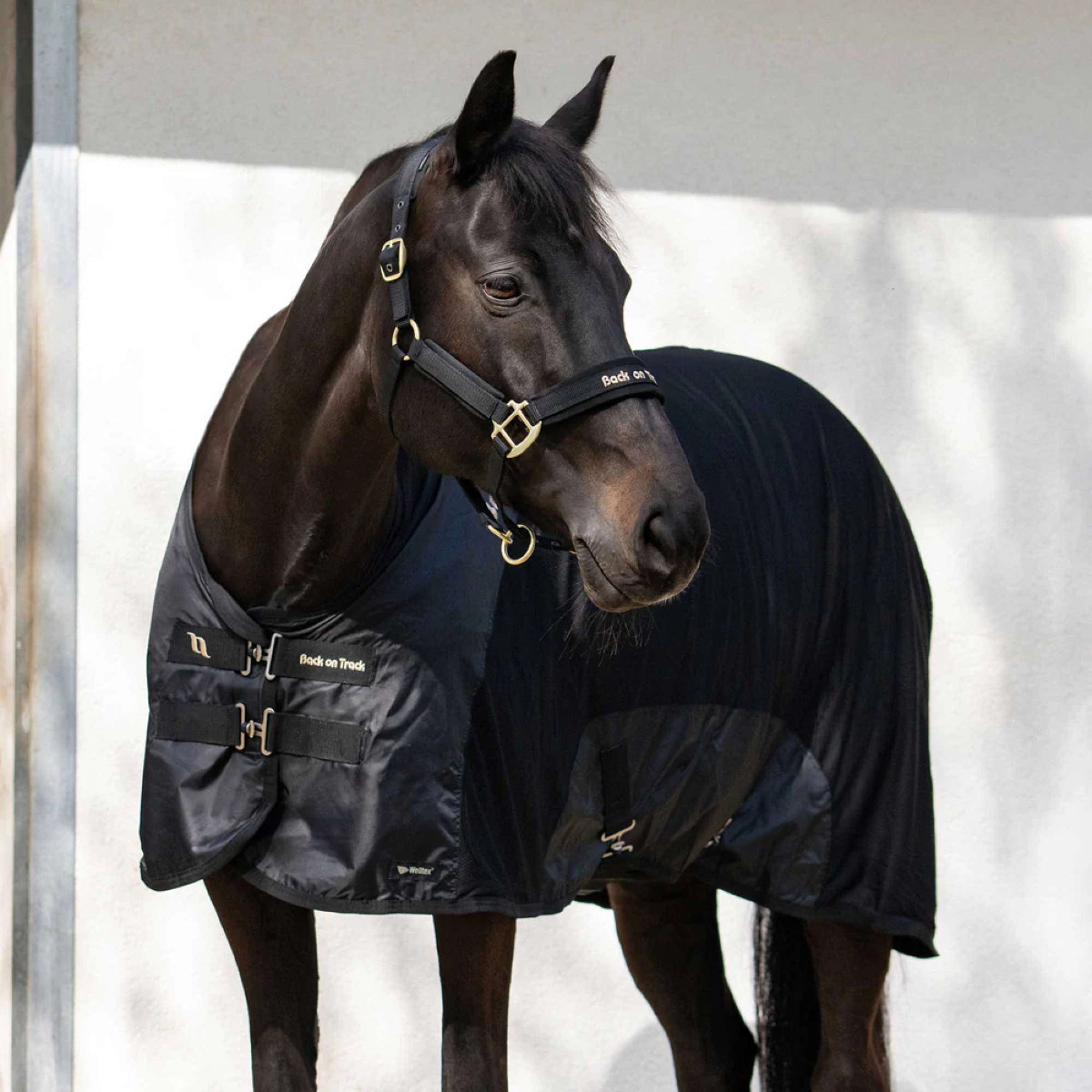 Back on Track Mesh Rug Royal Deluxe Black
