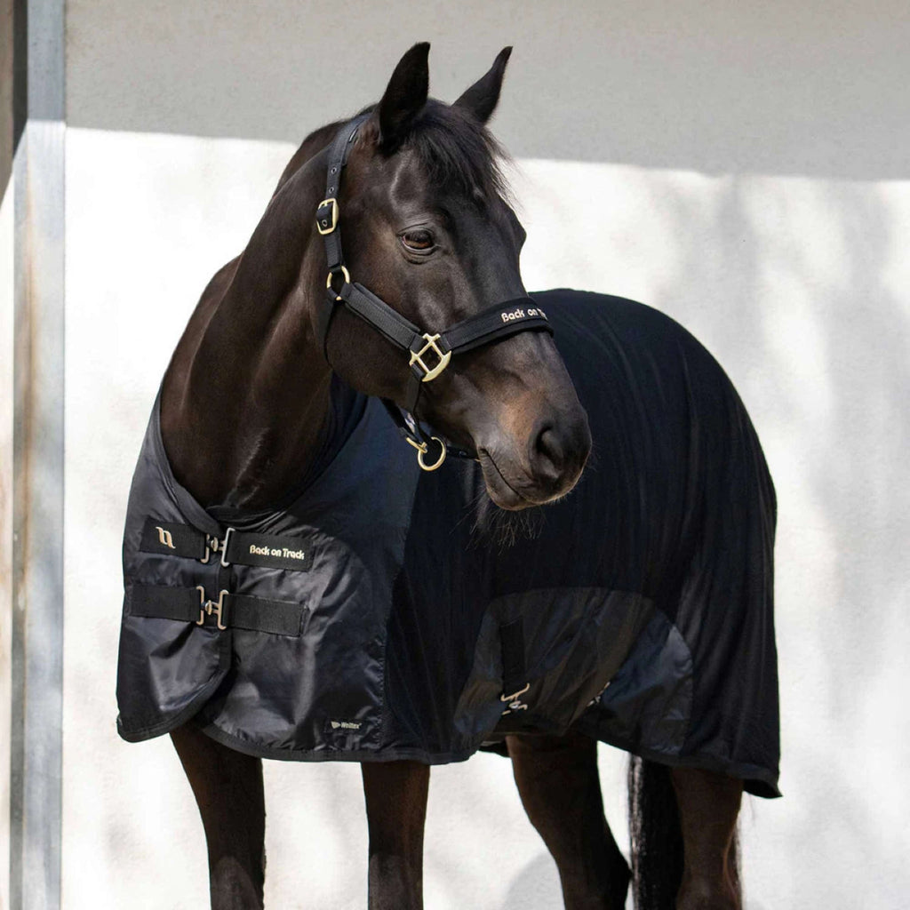 Back on Track Mesh Rug Royal Deluxe Black