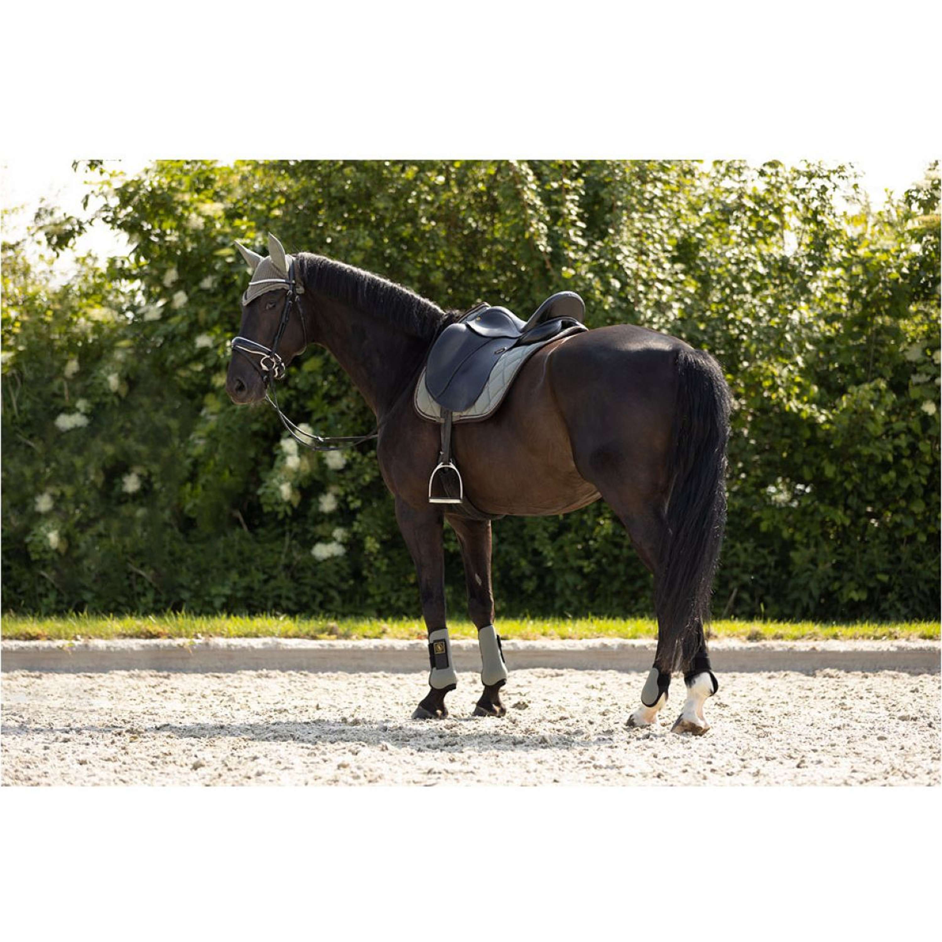 BR Tendon Boots Event Neopreen Voering Mulled Basil