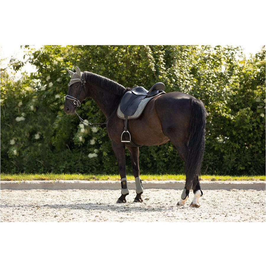 BR Tendon Boots Event Neopreen Voering Mulled Basil
