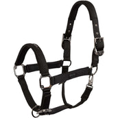 BR Halter AW25 Eevolv Josh Meteorite BR Halter AW25 Eevolv Josh Meteorite