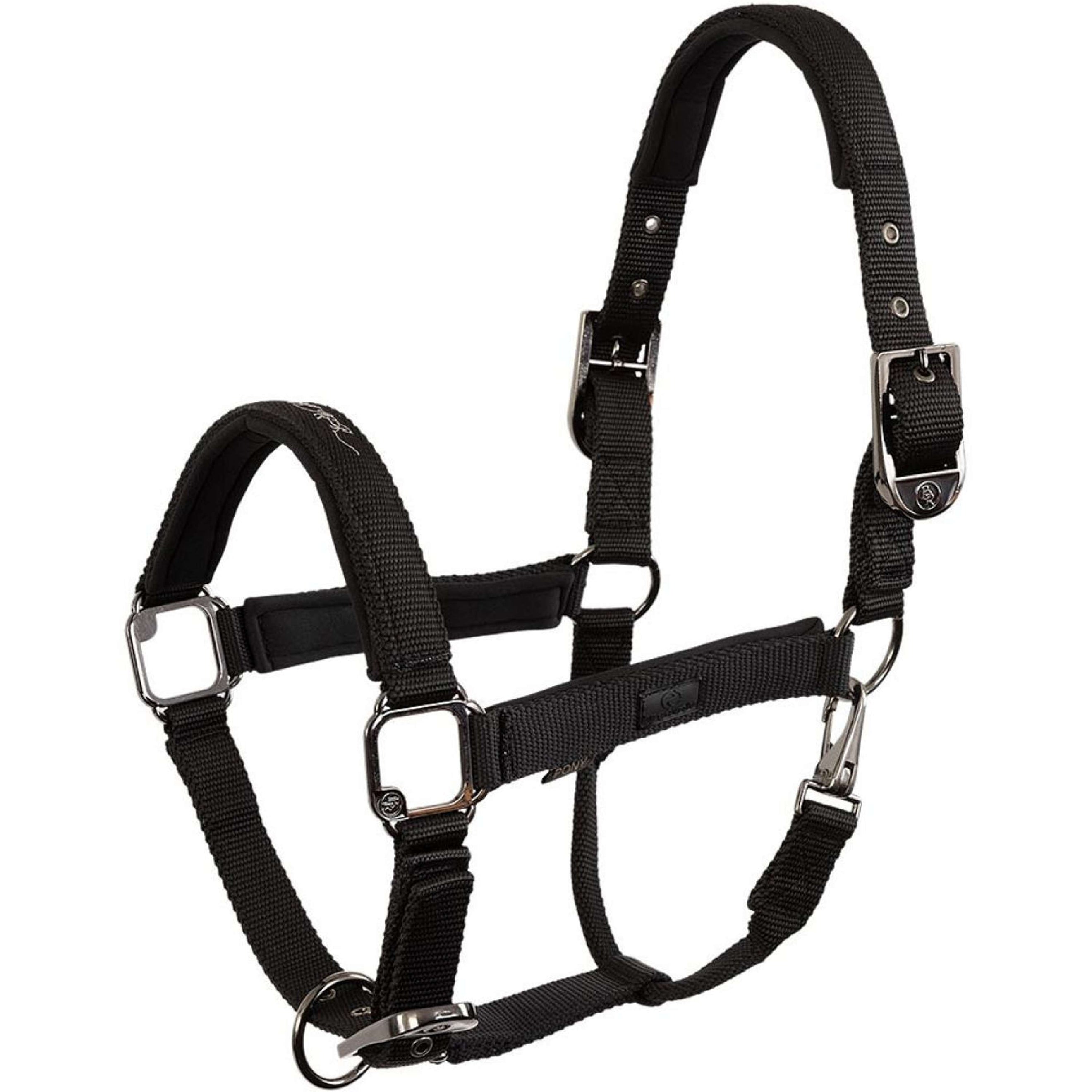 BR Halter AW25 Eevolv Josh Meteorite