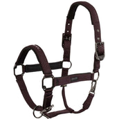 BR Halter AW25 Eevolv Josh Raisin