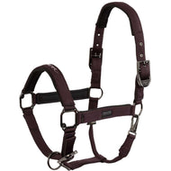 BR Halter AW25 Eevolv Josh Raisin