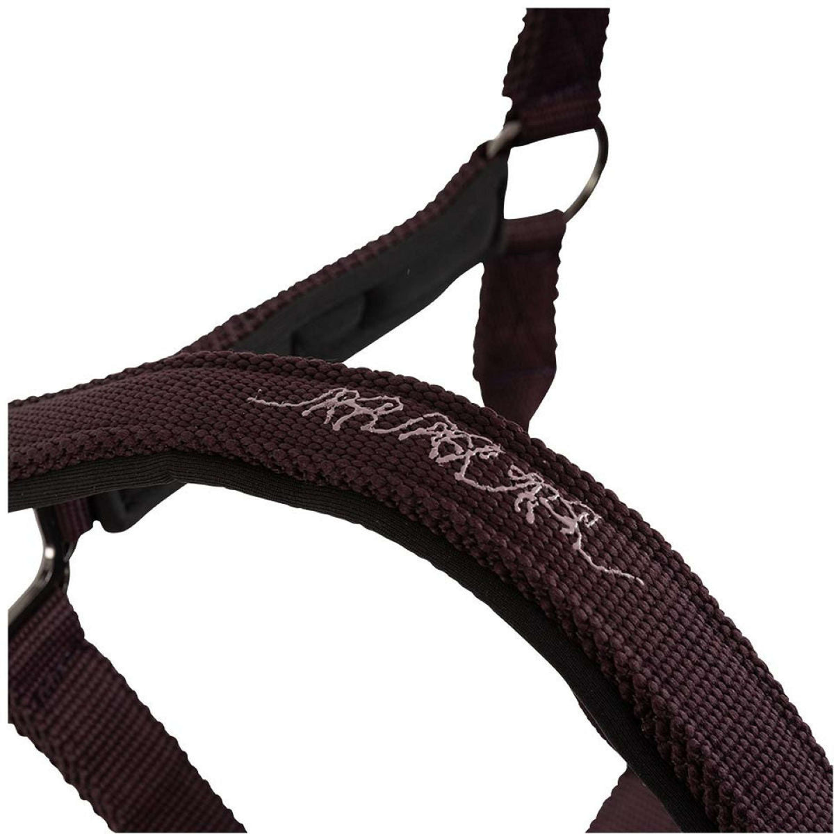 BR Halter AW25 Eevolv Josh Raisin