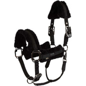 BR Halter AW25 Eevolv Jonne Meteorite