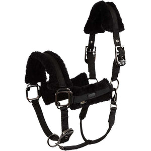 BR Halter AW25 Eevolv Jonne Meteorite