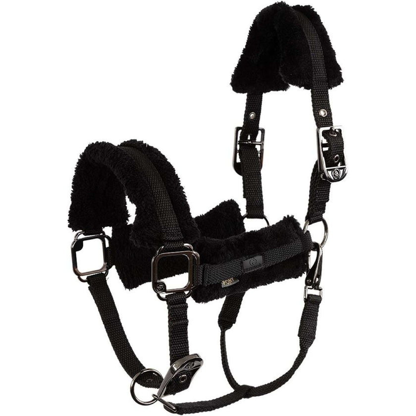 BR Halter AW25 Eevolv Jonne Meteorite